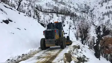 Diyarbakır Kulp'ta Kar Yolları Açıldı